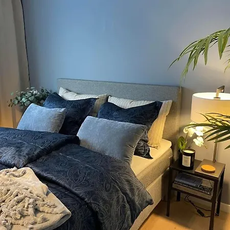 Apartment Modern With 3 Bedrooms And Parking